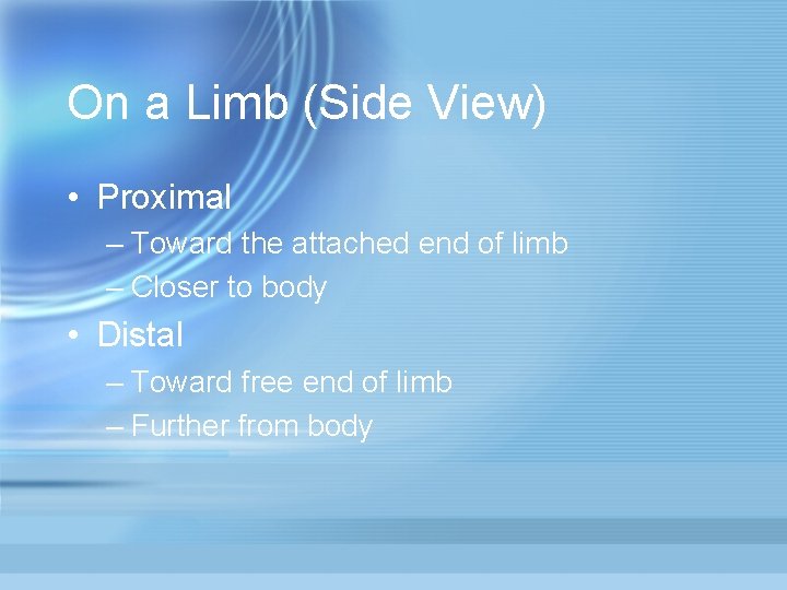 On a Limb (Side View) • Proximal – Toward the attached end of limb