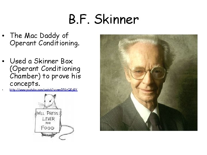 B. F. Skinner • The Mac Daddy of Operant Conditioning. • Used a Skinner