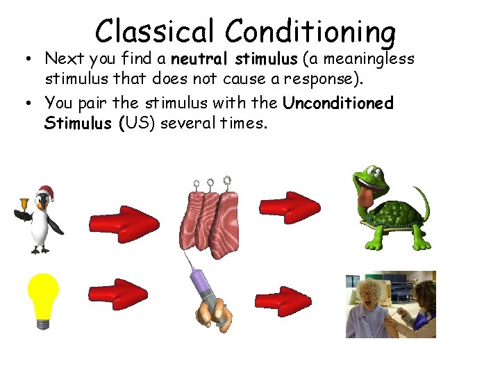 Classical Conditioning • Next you find a neutral stimulus (a meaningless stimulus that does