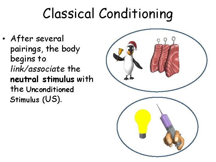 Classical Conditioning • After several pairings, the body begins to link/associate the neutral stimulus