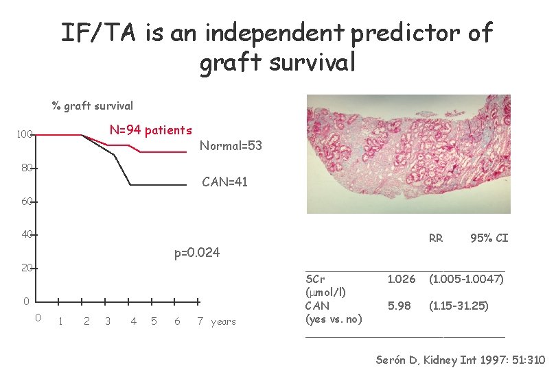 IF/TA is an independent predictor of graft survival % graft survival N=94 patients 100