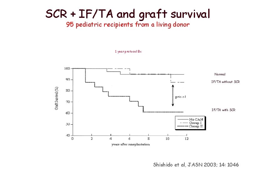 SCR + IF/TA and graft survival 95 pediatric recipients from a living donor 1