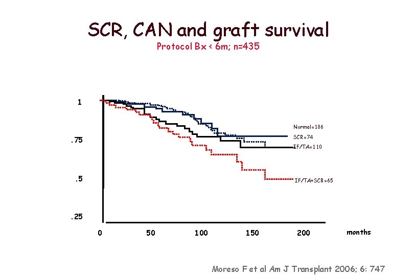 SCR, CAN and graft survival Protocol Bx < 6 m; n=435 1 Normal=186 SCR=74