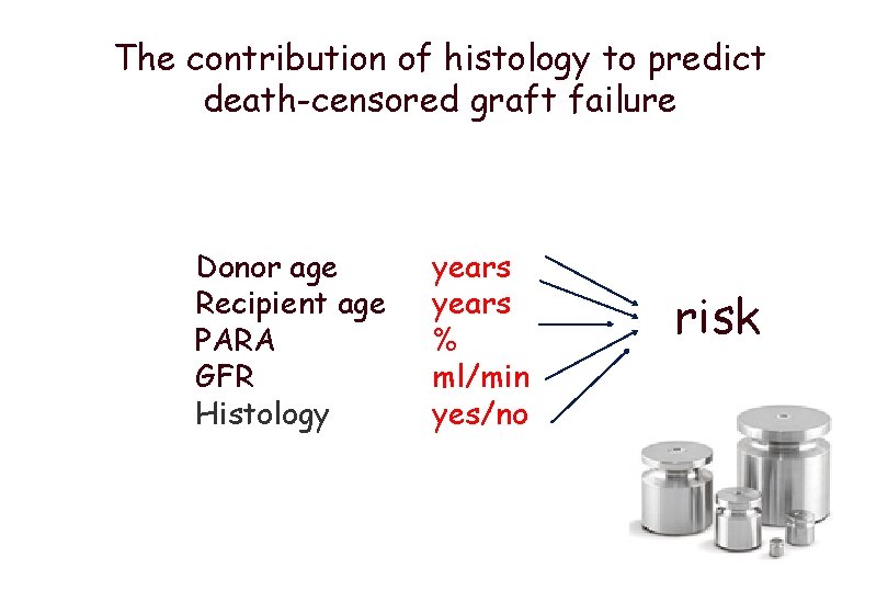 The contribution of histology to predict death-censored graft failure Donor age Recipient age PARA