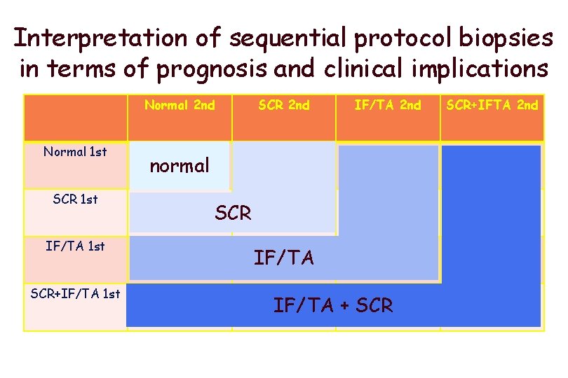 Interpretation of sequential protocol biopsies in terms of prognosis and clinical implications Normal 2