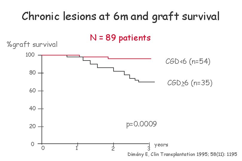 Chronic lesions at 6 m and graft survival N = 89 patients %graft survival