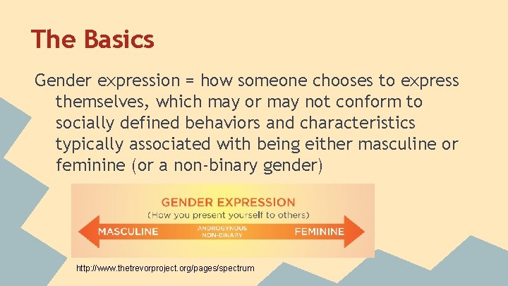 The Basics Gender expression = how someone chooses to express themselves, which may or The Basics Gender expression = how someone chooses to express themselves, which may or
