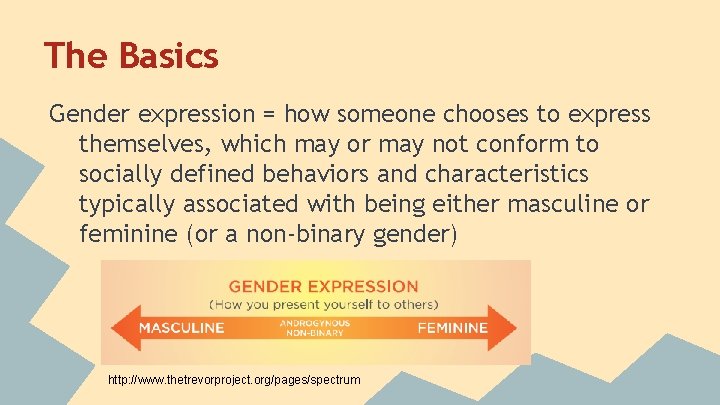 The Basics Gender expression = how someone chooses to express themselves, which may or