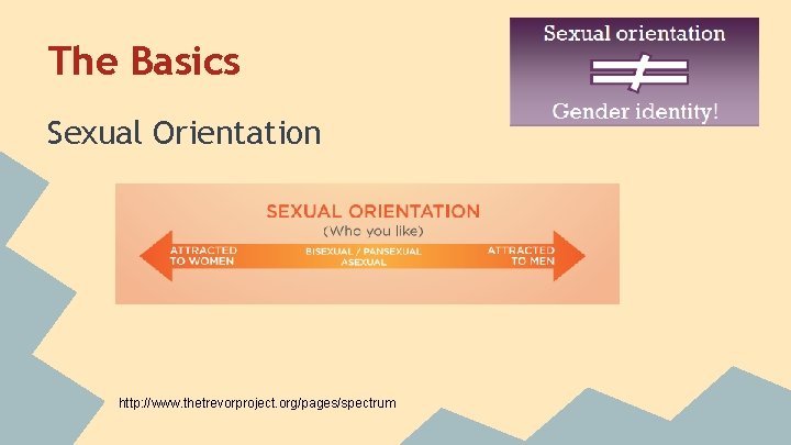 The Basics Sexual Orientation http: //www. thetrevorproject. org/pages/spectrum 