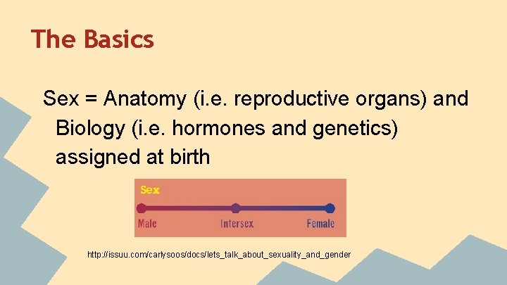 The Basics Sex = Anatomy (i. e. reproductive organs) and Biology (i. e. hormones The Basics Sex = Anatomy (i. e. reproductive organs) and Biology (i. e. hormones