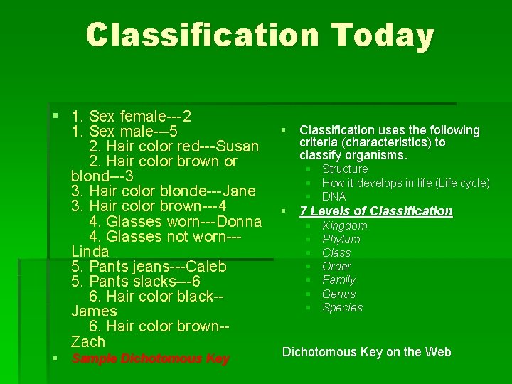 Classification Today § 1. Sex female---2 1. Sex male---5 2. Hair color red---Susan 2.