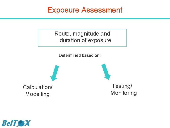 Exposure Assessment Route, magnitude and duration of exposure Determined based on: Calculation/ Modelling Testing/