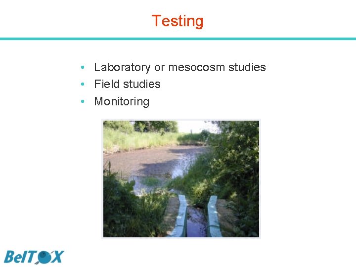 Testing • Laboratory or mesocosm studies • Field studies • Monitoring 