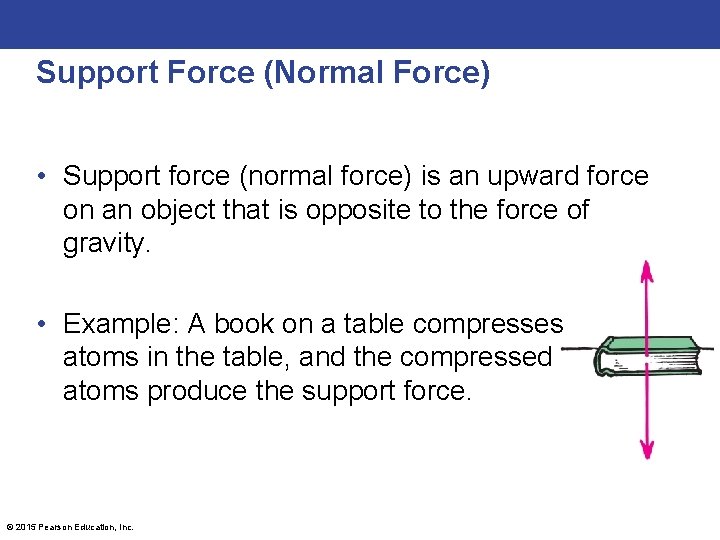 Support Force (Normal Force) • Support force (normal force) is an upward force on