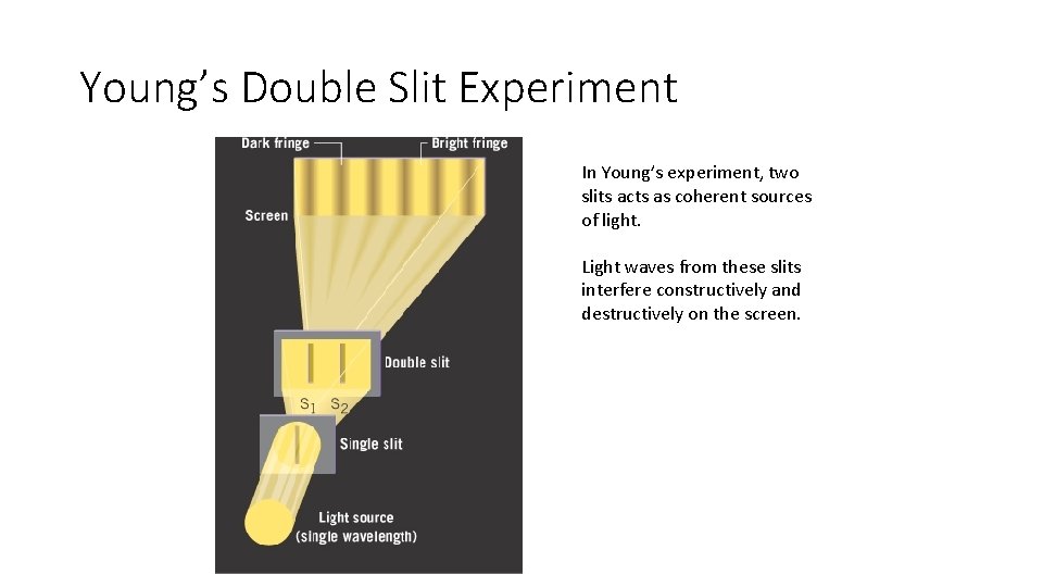 Young’s Double Slit Experiment In Young’s experiment, two slits acts as coherent sources of