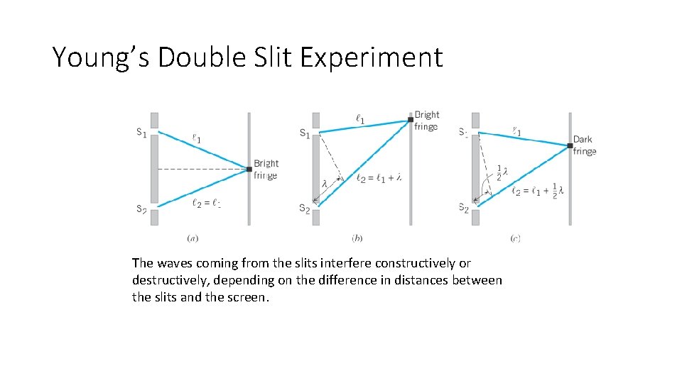 Young’s Double Slit Experiment The waves coming from the slits interfere constructively or destructively,