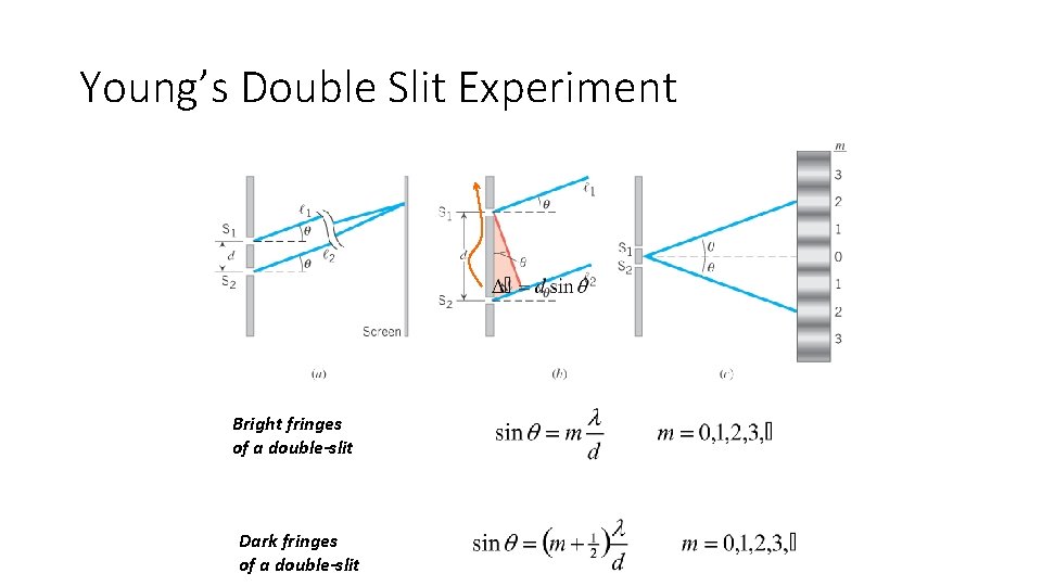 Young’s Double Slit Experiment Bright fringes of a double-slit Dark fringes of a double-slit