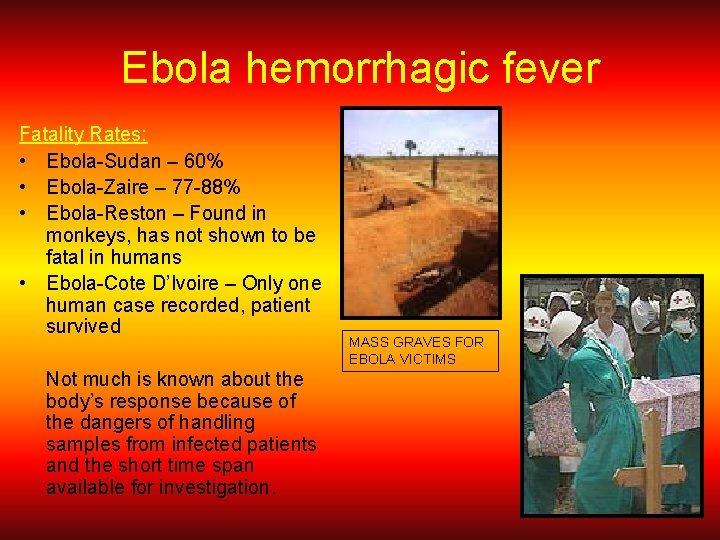 Ebola hemorrhagic fever Fatality Rates: • Ebola-Sudan – 60% • Ebola-Zaire – 77 -88%