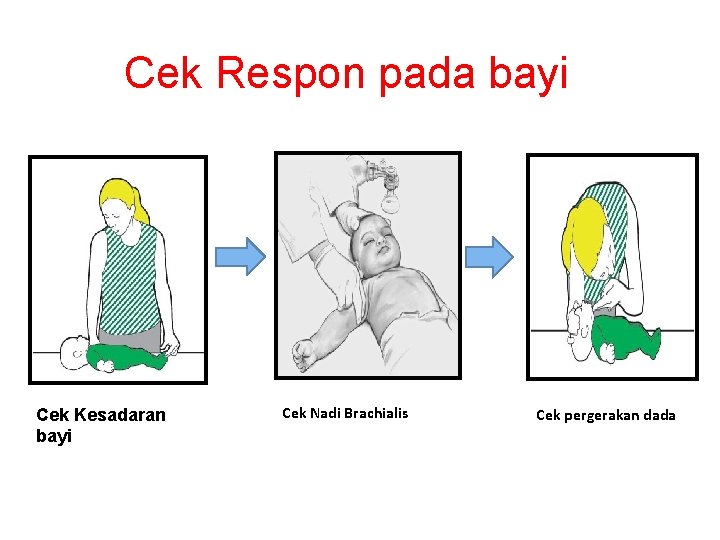 Cek Respon pada bayi Cek Kesadaran bayi Cek Nadi Brachialis Cek pergerakan dada 