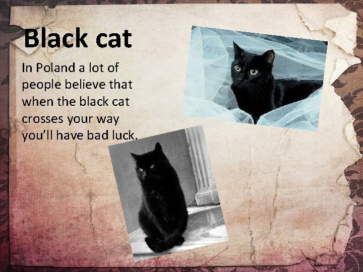 Black cat In Poland a lot of people believe that when the black cat