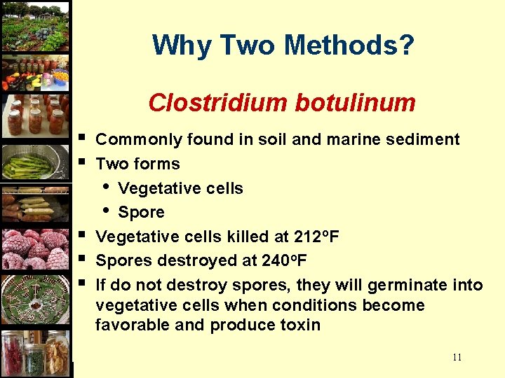 Why Two Methods? Clostridium botulinum § § § Commonly found in soil and marine