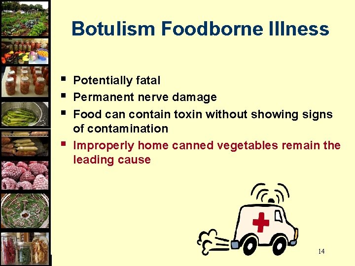 Botulism Foodborne Illness § § Potentially fatal Permanent nerve damage Food can contain toxin