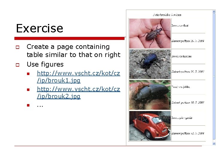 Exercise o o Create a page containing table similar to that on right Use