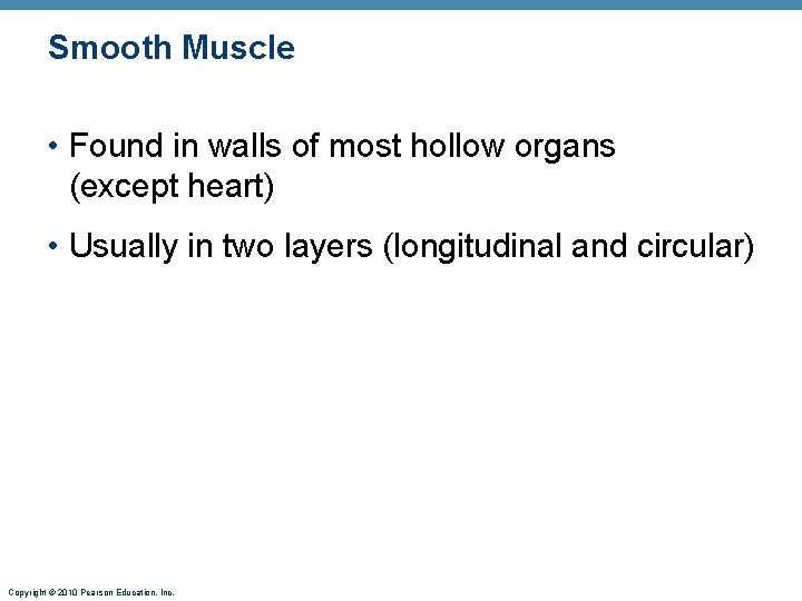 Smooth Muscle • Found in walls of most hollow organs (except heart) • Usually