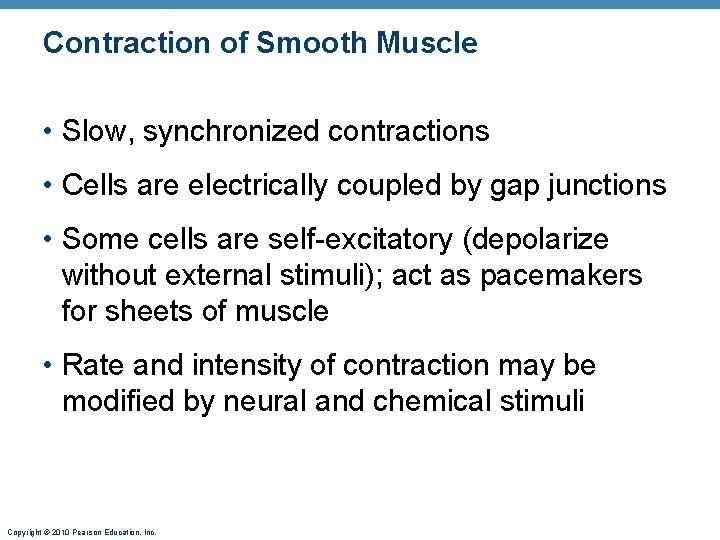 Contraction of Smooth Muscle • Slow, synchronized contractions • Cells are electrically coupled by