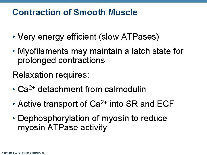 Contraction of Smooth Muscle • Very energy efficient (slow ATPases) • Myofilaments may maintain
