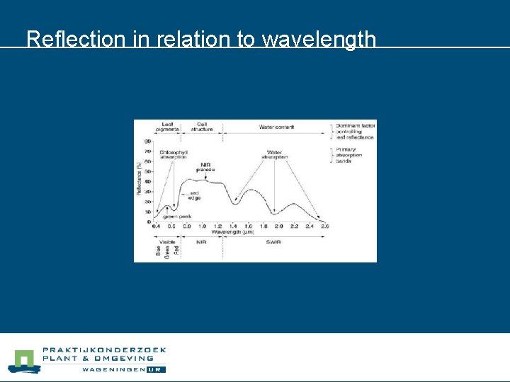 Reflection in relation to wavelength 