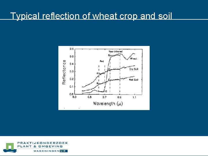 Typical reflection of wheat crop and soil 