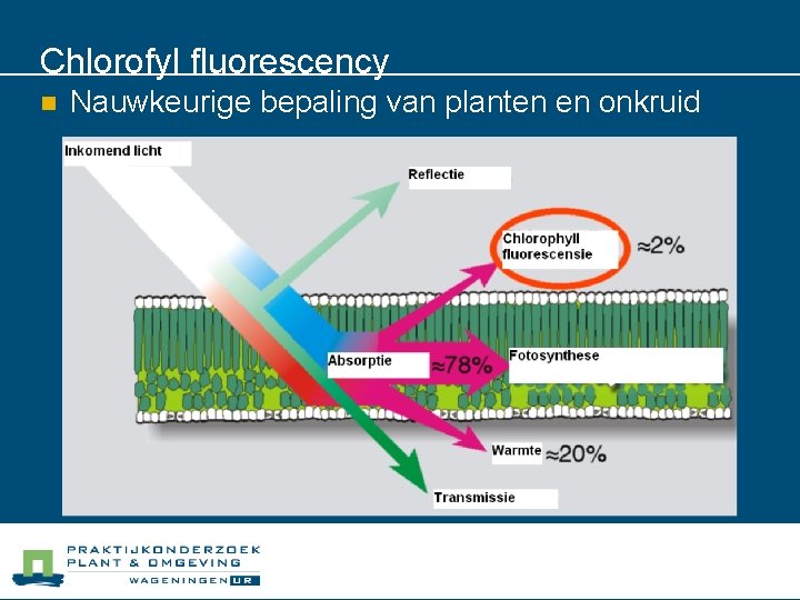 Chlorofyl fluorescency n Nauwkeurige bepaling van planten en onkruid 