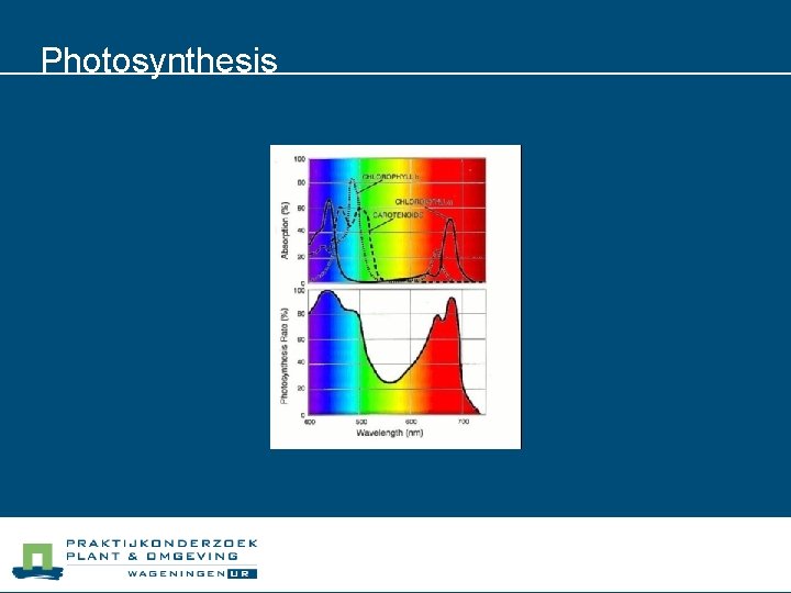 Photosynthesis 