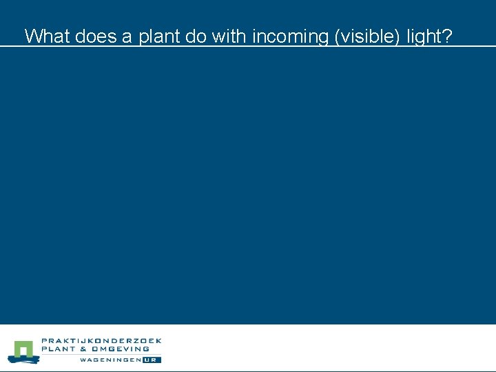 What does a plant do with incoming (visible) light? 