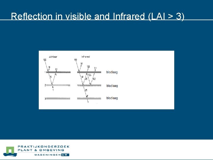 Reflection in visible and Infrared (LAI > 3) 