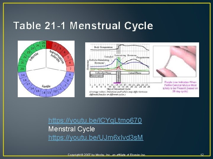 Table 21 -1 Menstrual Cycle https: //youtu. be/l. CYq. Ltmo 670 Menstral Cycle https: