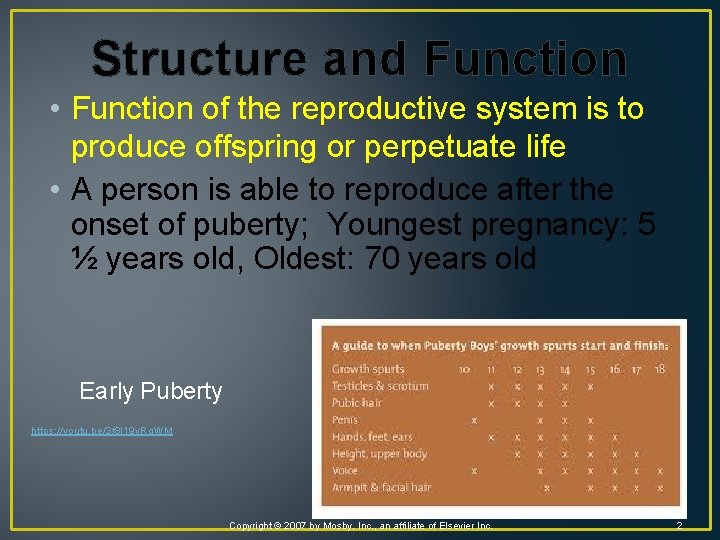 Structure and Function • Function of the reproductive system is to produce offspring or
