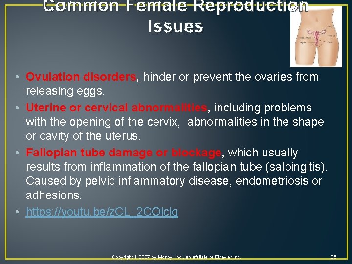 Common Female Reproduction Issues • Ovulation disorders, hinder or prevent the ovaries from releasing