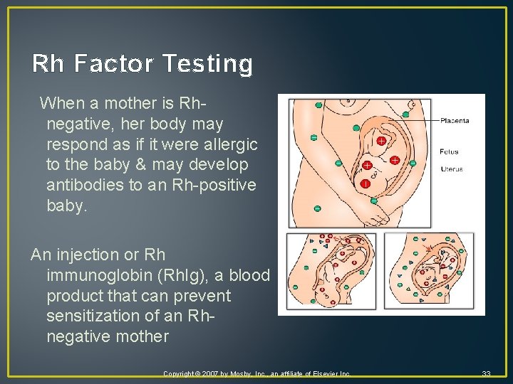 Rh Factor Testing When a mother is Rhnegative, her body may respond as if