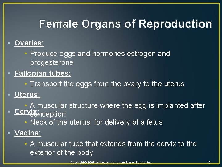 Female Organs of Reproduction • Ovaries: • Produce eggs and hormones estrogen and progesterone