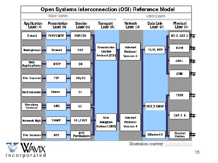 Illustration courtesy Catherine Werst 15 