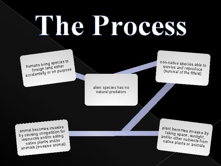 The Process pecies to s g in r b s human nd either se