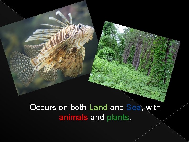 Occurs on both Land Sea, with animals and plants. 
