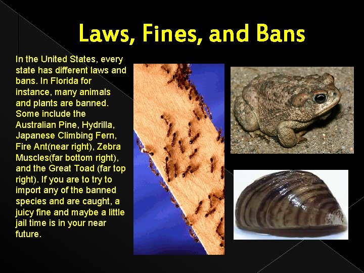 Laws, Fines, and Bans In the United States, every state has different laws and
