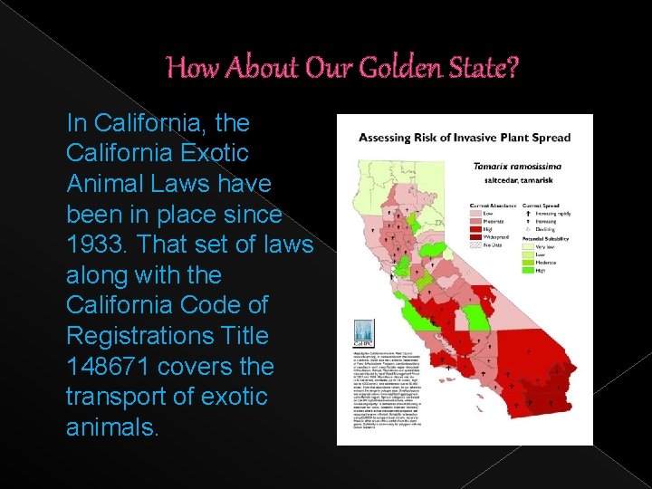 How About Our Golden State? In California, the California Exotic Animal Laws have been