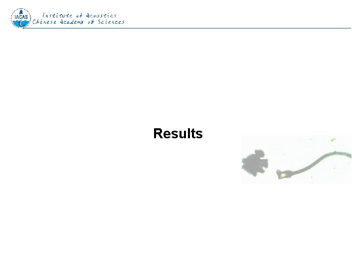 Results www. isoyes. com 
