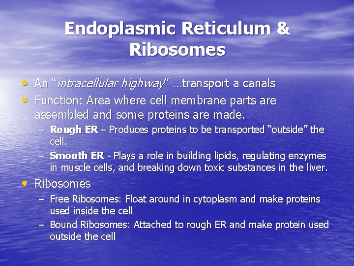 Endoplasmic Reticulum & Ribosomes • An “intracellular highway” …transport a canals • Function: Area Endoplasmic Reticulum & Ribosomes • An “intracellular highway” …transport a canals • Function: Area