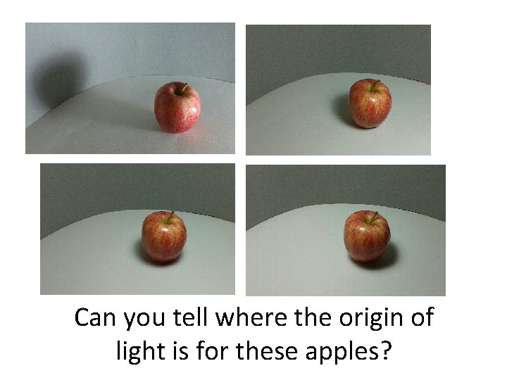 Can you tell where the origin of light is for these apples? 