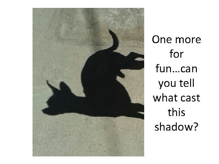 One more for fun…can you tell what cast this shadow? 